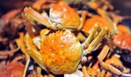 瓜哥吃瓜螃蟹是真的吗,揭秘网络传闻的真实性