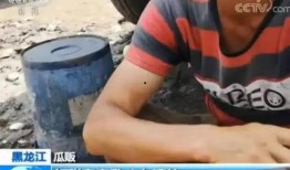 嘎嘎吃瓜记,揭秘娱乐圈幕后故事