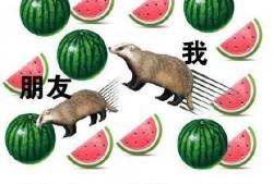 周末吃大瓜,盘点娱乐圈最新热点事件