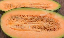 北屯哈密瓜怎么吃,北屯哈密瓜的多彩食法探索