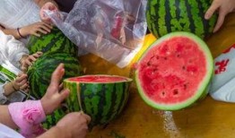 吃瓜视频精选,揭秘娱乐圈幕后故事