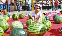 吃瓜大省,揭秘我国瓜果产业的繁荣与魅力