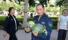 大叔吃的瓜很甜,大叔的甜蜜瓜果生活