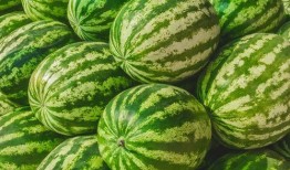 2023吃瓜最新,盘点娱乐圈、社会热点中的那些“瓜”