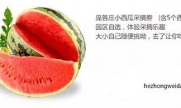 吃瓜群众的瓜是什么味儿