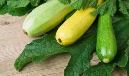 瓜变酸可以吃吗,还能安全食用吗？揭秘食品安全之谜