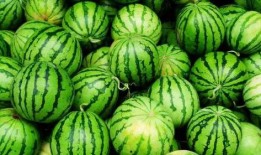 砖业吃瓜员,吃瓜员视角下的行业揭秘