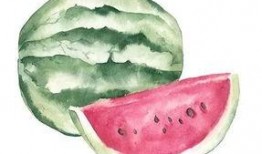 男女吃瓜区别,男女吃瓜众生相