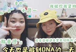 吃瓜猫耳CV,揭秘虚拟偶像的音色魅力与幕后故事