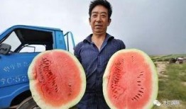 大型最强吃瓜视频,一场视觉盛宴的狂欢之旅