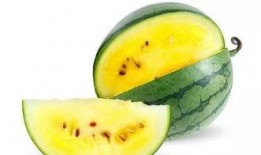 超长西瓜吃瓜,超长西瓜的吃瓜盛宴