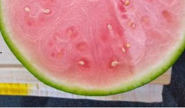 全球吃瓜在线观看,在线观看，共享全球热点瞬间