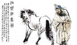 吃瓜的伯乐,吃瓜群众眼中的伯乐传奇