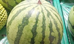 吃瓜大瓜微信,带你领略网络热点的魅力