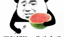 带你吃瓜上海话,一网打尽“带你吃瓜”的趣味与智慧