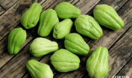 不让人吃瓜的人,拥抱宁静人生