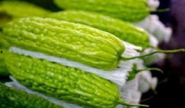 孕妇吃瓜篓子好吗,孕妇适量吃瓜篓子有益健康