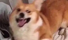 深度吃瓜人,吃瓜人生背后的秘密与启示