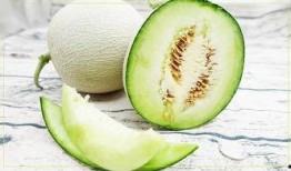 不出名的吃瓜,揭秘那些鲜为人知的美食传奇