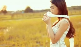 吃瓜赏花的图片,一场视觉盛宴的夏日赏花吃瓜之旅