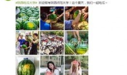 陕西吃瓜公众号,吃瓜群众必看的美食攻略