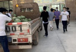 荆门吃瓜新闻,揭秘当地热点事件背后的真相