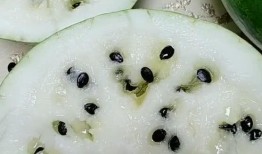 吃瓜喜欢吃籽,探寻吃瓜爱好者对籽的偏爱之谜