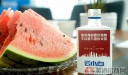 吃小白瓜说说,小白瓜的清爽滋味与养生之道