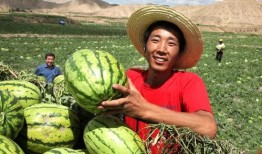 广河县吃瓜事件视频,一场网络热议背后的真相与反思