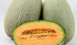 花卷吃哈密瓜,别具一格的美食新体验