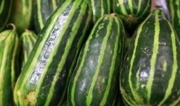 兰瓜和冬瓜起吃吗,探索独特搭配的味蕾之旅