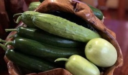 网红缅北吃瓜,揭秘网络红人背后的神秘世界