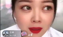 翰林府吃瓜视频,揭秘宫廷秘闻，带你领略皇家生活