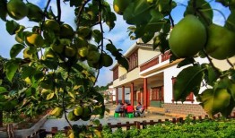 在农家小院吃瓜,夏日时光尽享悠闲