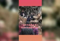 吃瓜星球站,趣味横生的宇宙八卦集散地