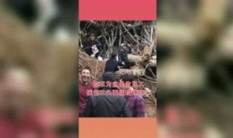 吃瓜星球站,趣味横生的宇宙八卦集散地