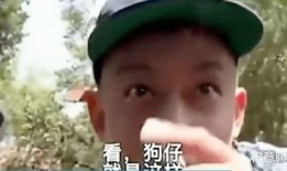 吃瓜发疯系列视频,揭秘网络热点的疯狂魅力