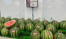 吃美都麒麟瓜,夏日消暑佳品，品味独特口感之旅