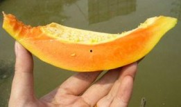 12月吃瓜总览,盘点娱乐圈热点事件大盘点