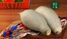 贵族贡瓜怎么吃,品味皇室级瓜果的奢华享受