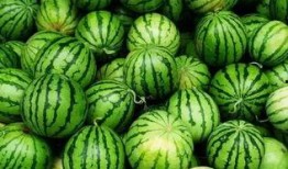 大型最强吃瓜视频,一场视觉盛宴的狂欢之旅