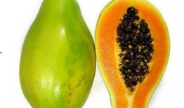 冬天请吃瓜的视频,跟随视频一起“吃瓜”乐翻天