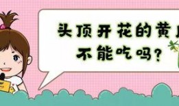 吃瓜不顶饿,轻松应对饥饿挑战