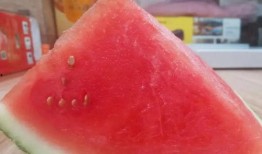 瓜吃的可开心,快乐满园