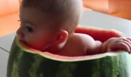 婴儿吃瓜视频,萌态十足引网友热议